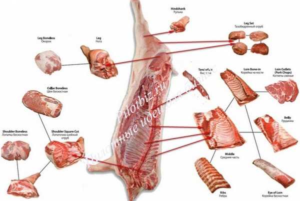 При обвалке свинины получают. Обвалка туши свиньи схема. Обвалка полутуши свинины. Схема обвалки мяса свинины.
